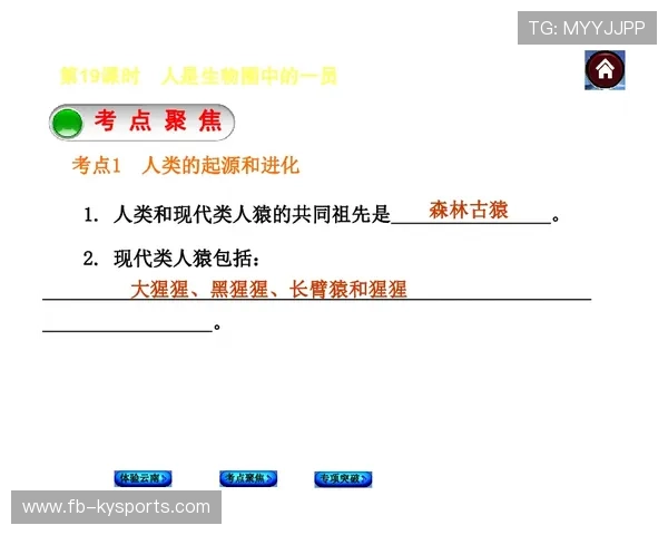 琑员如何通过专项练习提升突破后的终结创造 琑员如何通过专项练习提升突破后的终结创造